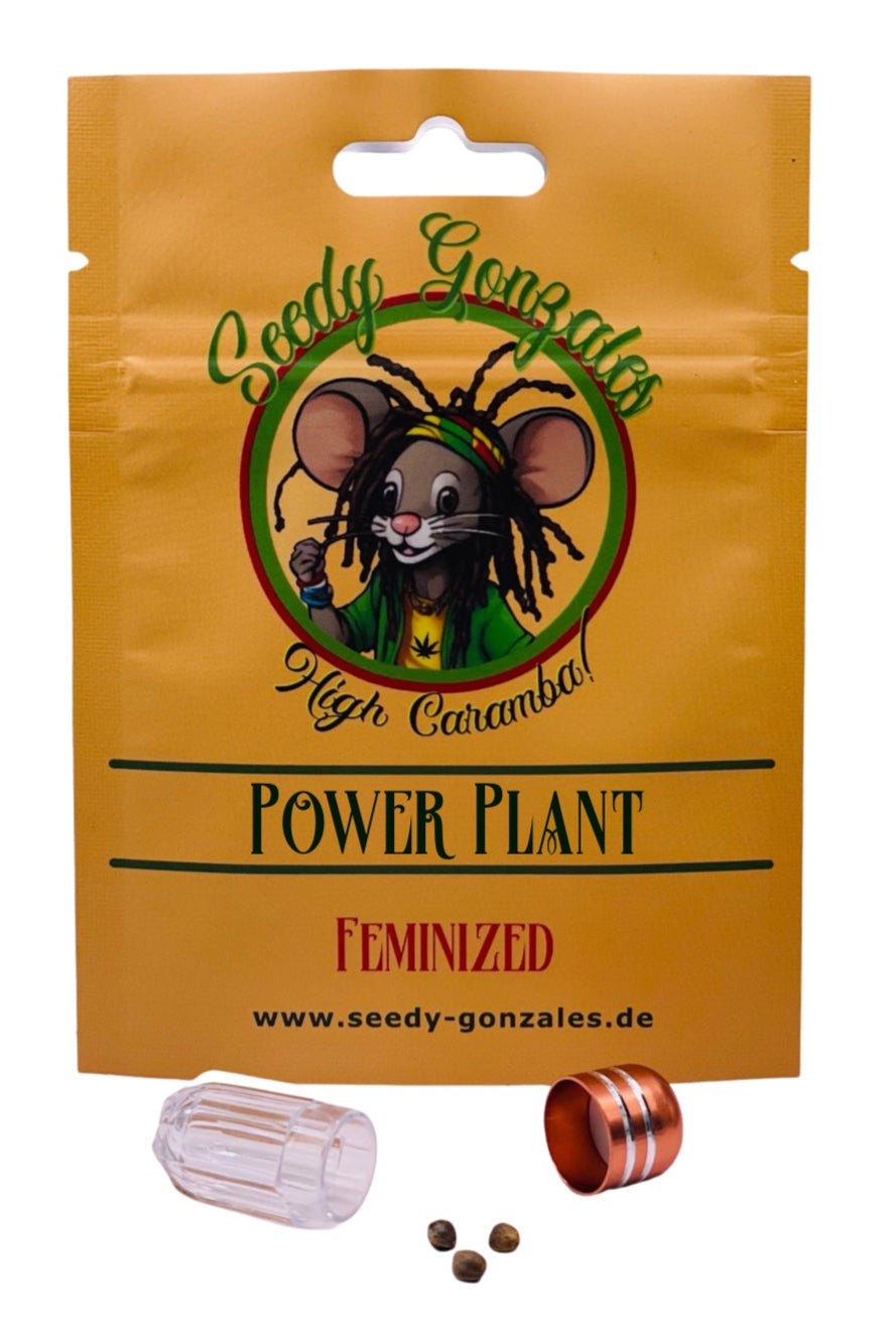 Power Plant Feminized Cannabissamen Seeds Seedy Gonzales Samen