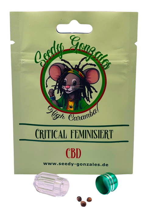 Critical CBD feminisierte Cannabis Samen – robuste Sorte mit ausgewogener CBD-Wirkung und leicht süßlichem Aroma