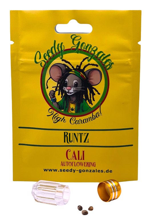 runtz cali autoflowering cannabissamen hanfsamen
