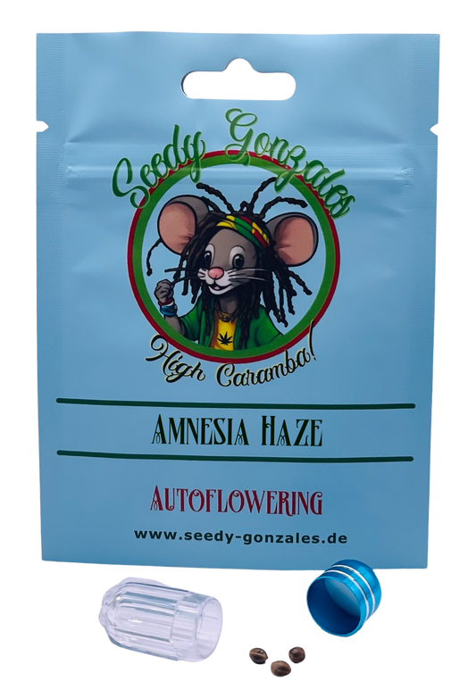 Amnesia Haze Autoflowering – zitronig-frischer Klassiker mit starker Sativa-Wirkung