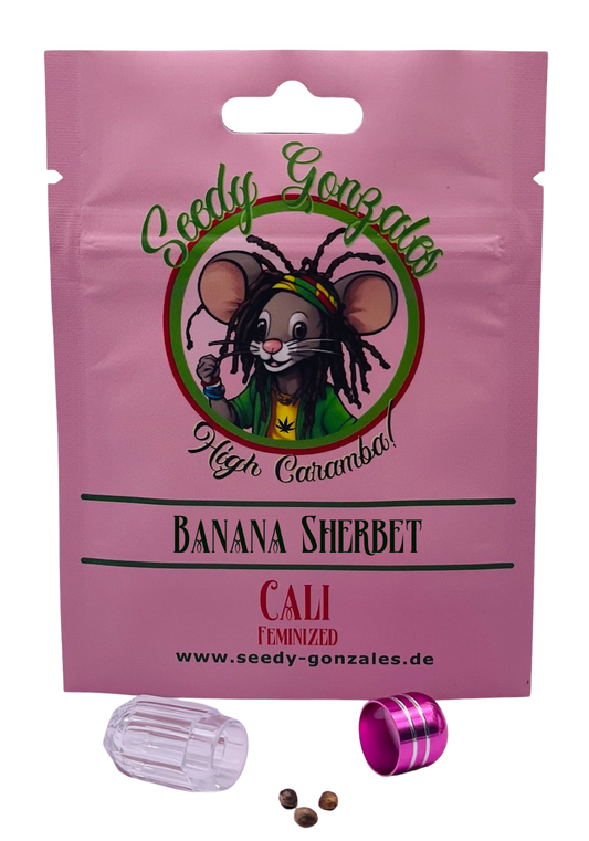 Banana Sherbert Cali feminisierte Cannabis Samen – tropisch-süße Sorte mit beruhigender Wirkung und fruchtigem Aroma