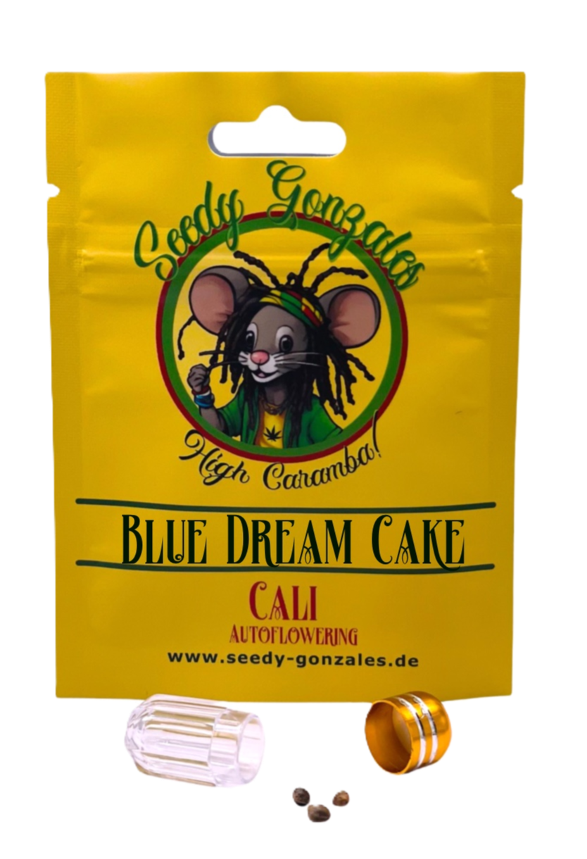 Blue Dream Cake Cali Autoflowering Cannabissamen Seeds Seedy Gonzales Autmatic