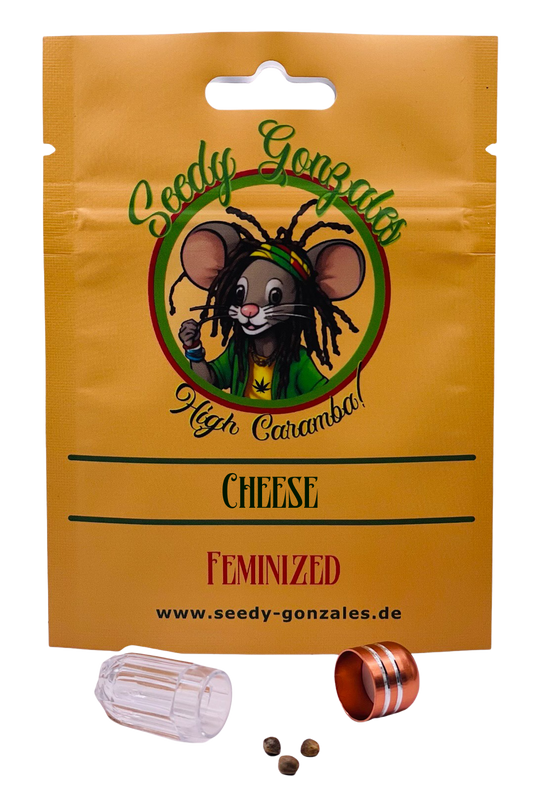 Cheese feminisierte Cannabis Samen – unverwechselbares Käse-Aroma und tiefe, entspannende Wirkung