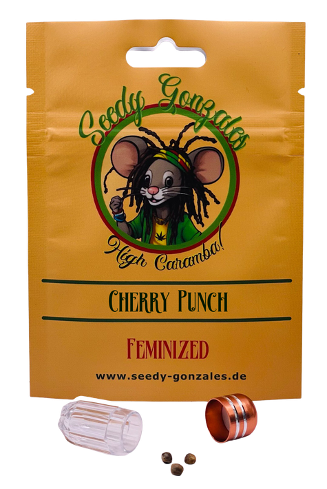 Cherry Punch feminisierte Cannabis Samen – intensives Kirscharoma trifft auf starke, euphorische Wirkung und hohe Harzproduktion