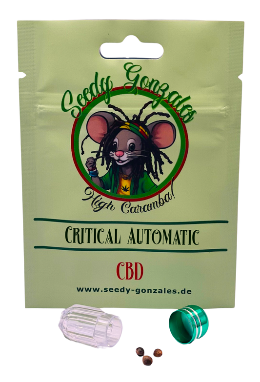 Critical Auto CBD Cannabis Samen – automatisch blühende Sorte mit hohem CBD-Gehalt und sanfter, beruhigender Wirkung