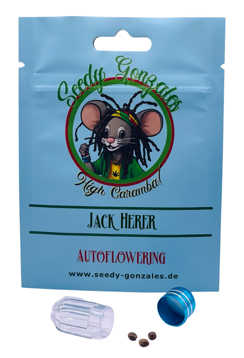 Jack Herer Autoflowering – klassischer Sativa-Hybrid mit würzigem Aroma und kreativitätsfördernder Wirkung