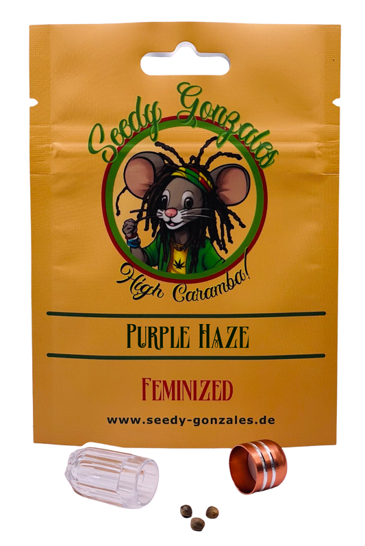 Purple Haze feminisierte Cannabis Samen – sativalastige Sorte mit beerigem Geschmack und klarem Kopf-High